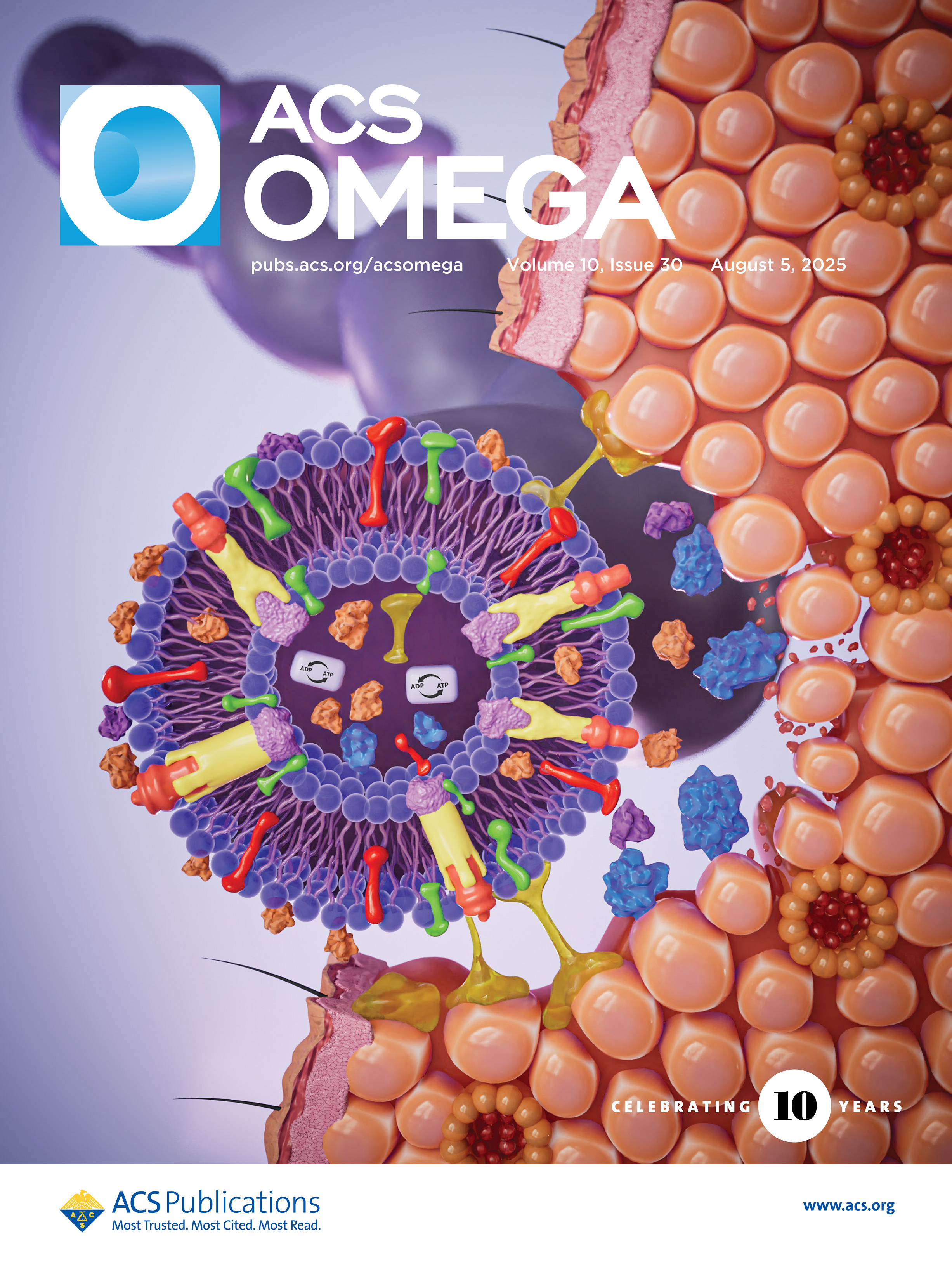 ACS Omega Journal Cover featuring Dr. Madanan's research